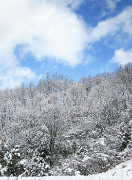 雪のち晴れ (2)